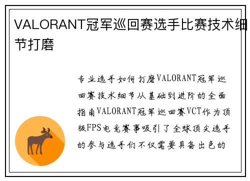 VALORANT冠军巡回赛选手比赛技术细节打磨