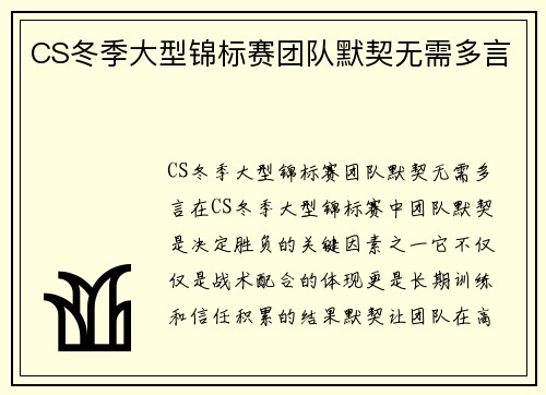 CS冬季大型锦标赛团队默契无需多言